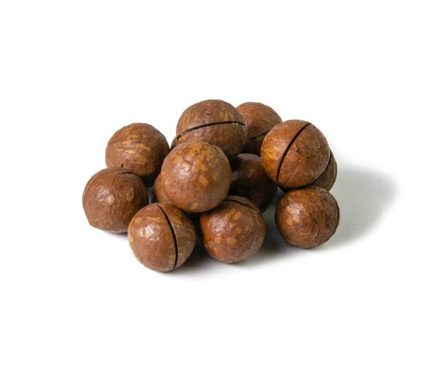 Makadamia w skorupce