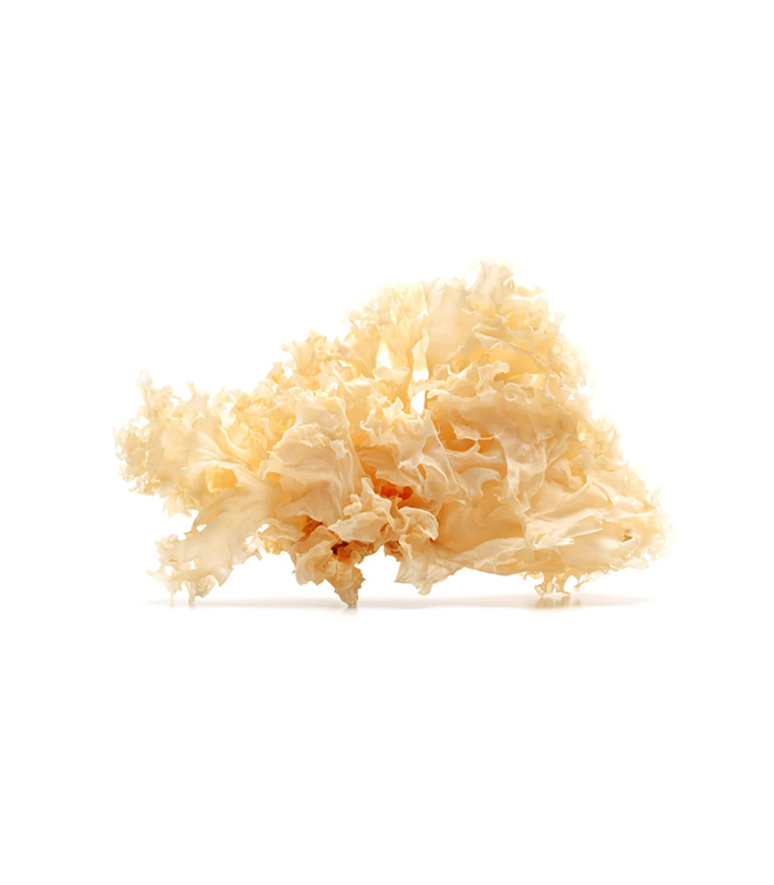 vg-vaf-m-8.jpg Dried White Fungus - obrazek 1